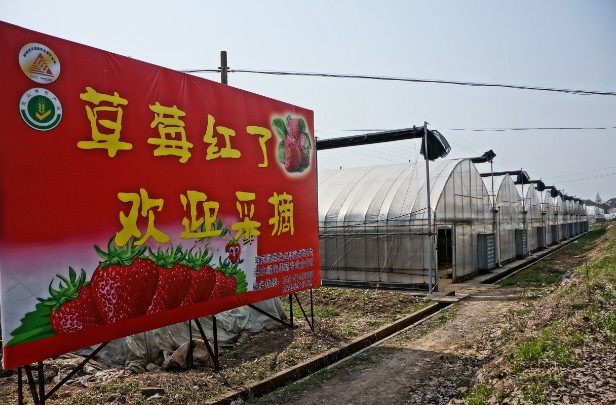 图片关键词